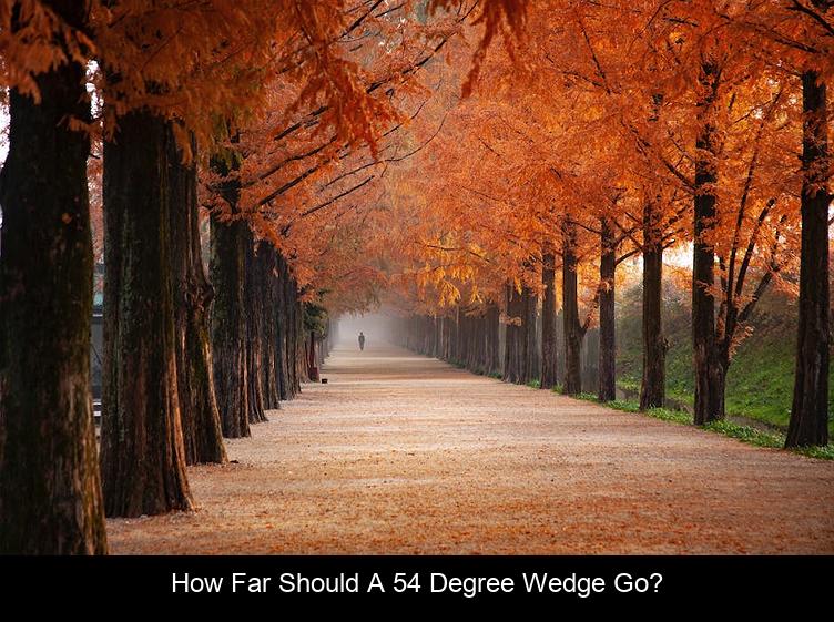 How far should a 54 degree wedge go?