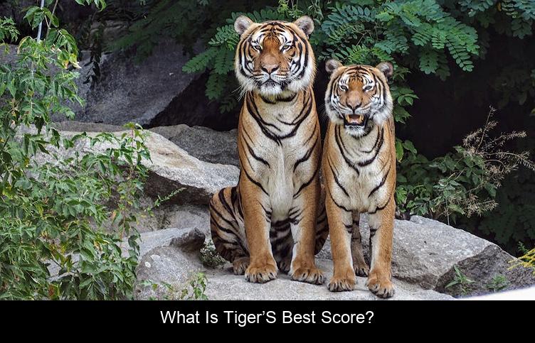 What is Tiger’s best score?